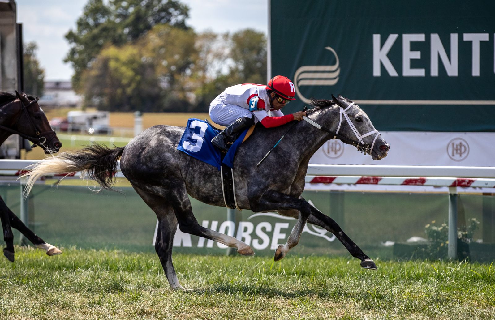 Consistent in his performance (Photo Kentucky Downs)