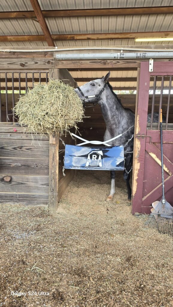 In the stable after winning