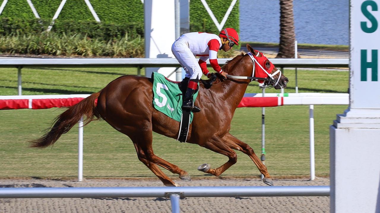 Winner’s Maiden Special Weight (Photo Video Hípico)