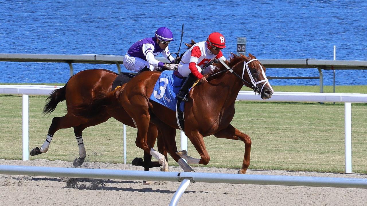 Rider Miguel Vasquez (Foto Video Hípico)