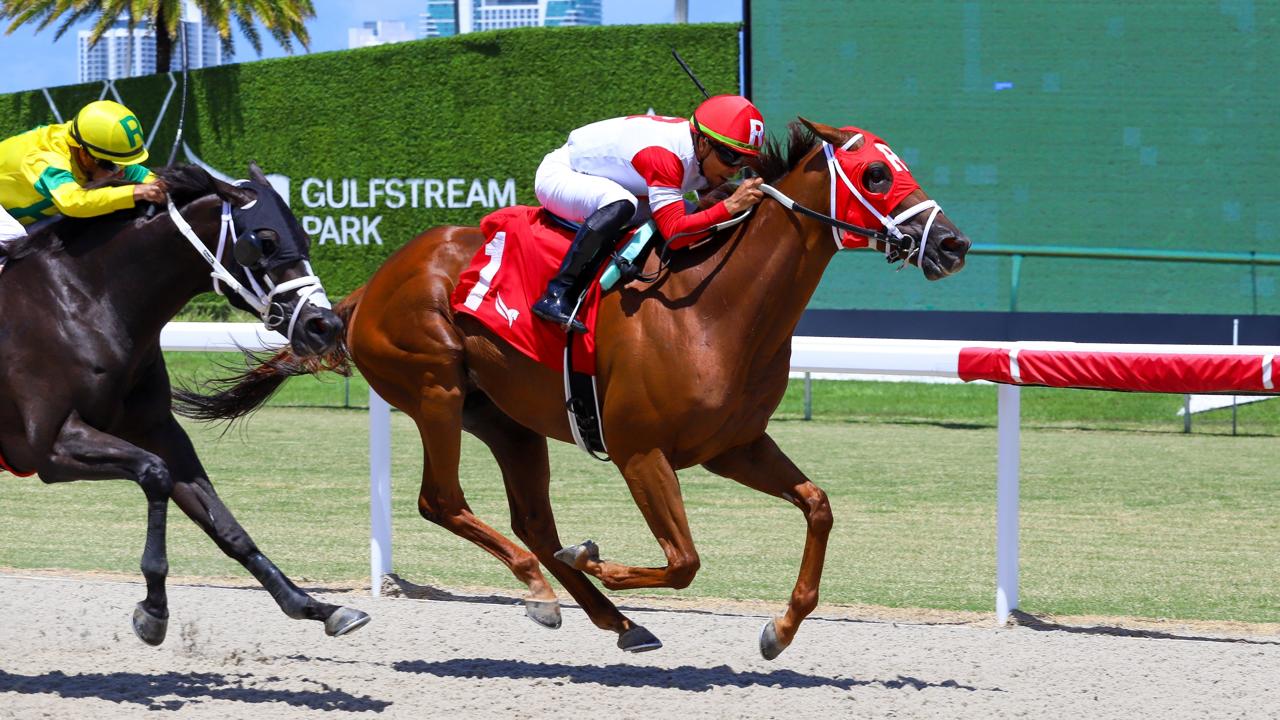 Tenth victory of the season For Team Ramsey (Photo Video Hípico)