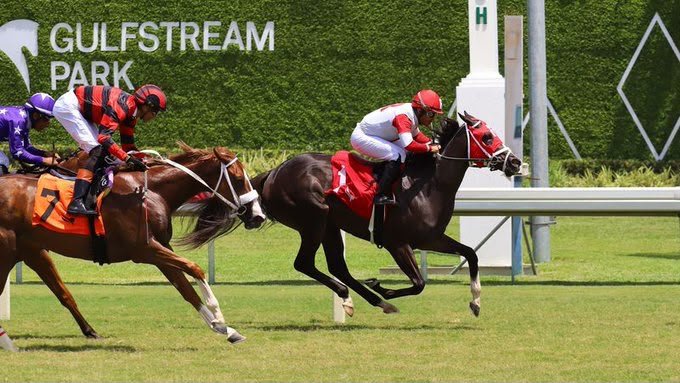 Trained Nolan Ramsey (Photo Video Hípico)